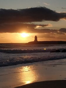 connexion à la nature pour soutenir une alimentation plus consciente