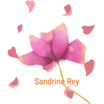 Sandrine Rey naturopathie naturopathe Yoga Balades naturelles iridologie massages bien-être réflexologie plantaire - Aix en Provence, Jouques, Pertuis, Venelles.