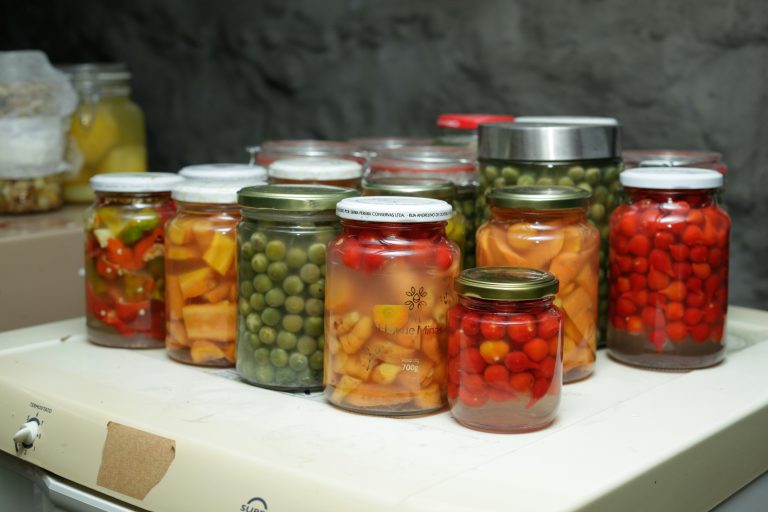 Légumes lacto-fermentés riches en probiotiques naturels bénéfiques pour le microbiote et la digestion