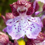 L'expression de ses émotions : se révéler à soi-même