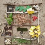 Balade bien-être naturopathe Aix en Provence