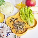 Recette salade d'été - Feuilles de batavia - radis noir - chou fleur - poivron vert - carotte - graines germées - olives noires