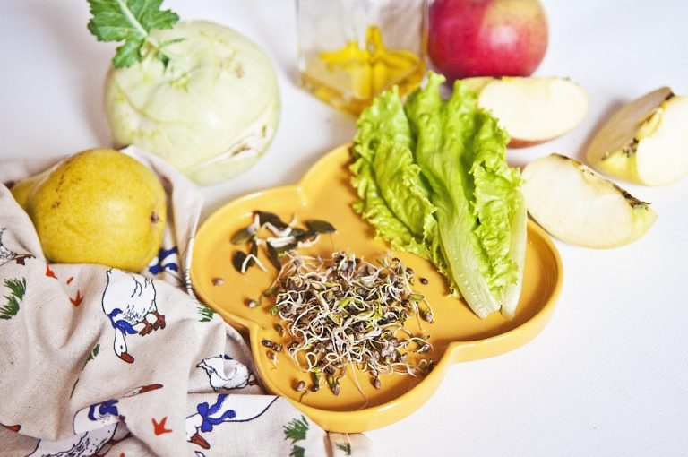 Recette salade d'été - Feuilles de batavia - radis noir - chou fleur - poivron vert - carotte - graines germées - olives noires