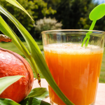 jus-potimarron-melon-jaune-extracteur-vitalité