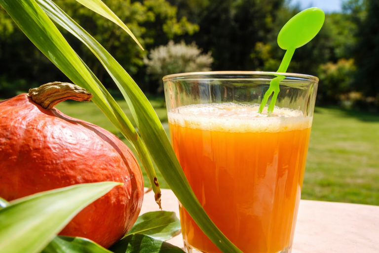 jus-potimarron-melon-jaune-extracteur-vitalité