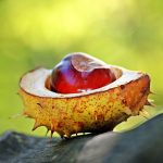 Poêlée de légumes de saison avec châtaignes pour une recette végétale savoureuse