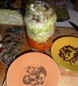 Quels sont les Bienfaits de la lacto-fermentation Sandrine REY, une naturopathe amoureuse de la nature et passionnée par mon métier.