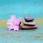 Galets avec fleur d'hibiscus - détente massage bien-être
