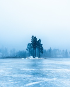 Ilot d'arbres entouré d'un lac gelé - l'atmosphére est bleue grise - Le blues de l'hiver - Sandrine Rey Massages bien-être Aix en Provence