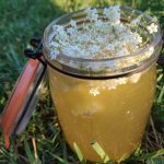 Ma recette de kéfir au feuilles de sureau - Naturopathie Aix en Provence