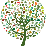 L'écologie au service de la naturopathie - un arbre de vie