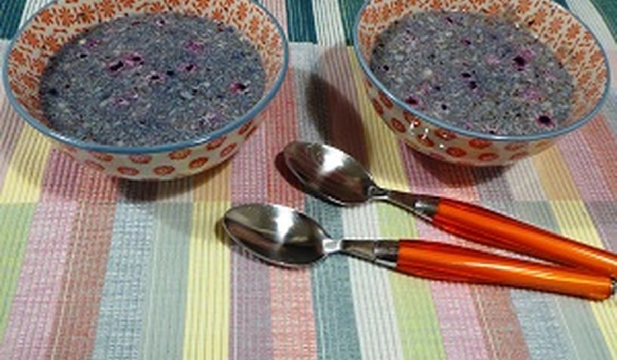 Flan de psyllium aux fruits rouges – recette saine riche en fibres