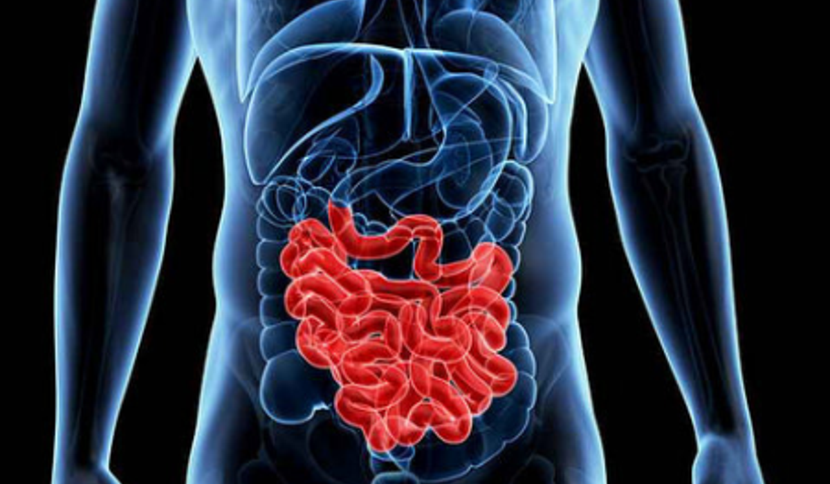 Inflammation intestinale liée à une maladie auto-immune