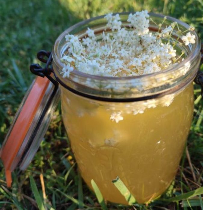 kefir-fruits-bocal