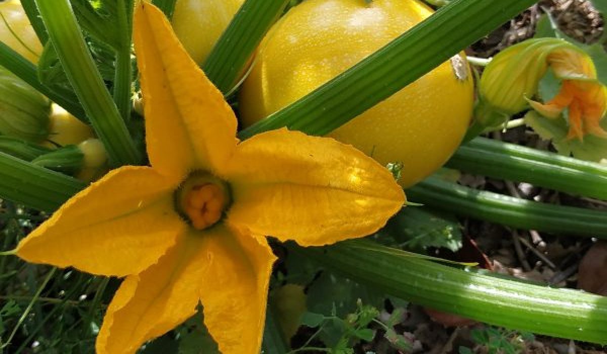 manger en conscience dans un environnement calme et apaisant