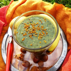 smoothie à la spiruline vert avec fruits et oléagineux, pollen et baies de goji